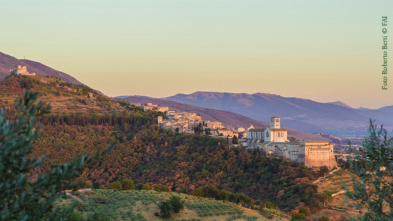 L'Erbolario sostiene il Bosco di San Francesco ad Assisi