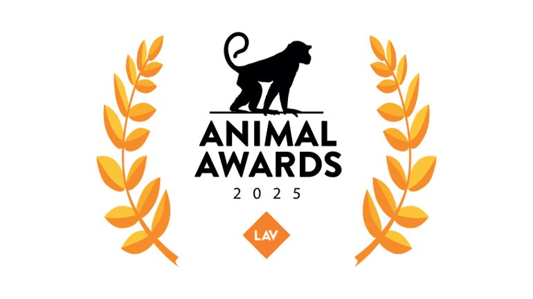 Premiati dalla LAV per il nostro impegno per gli animali