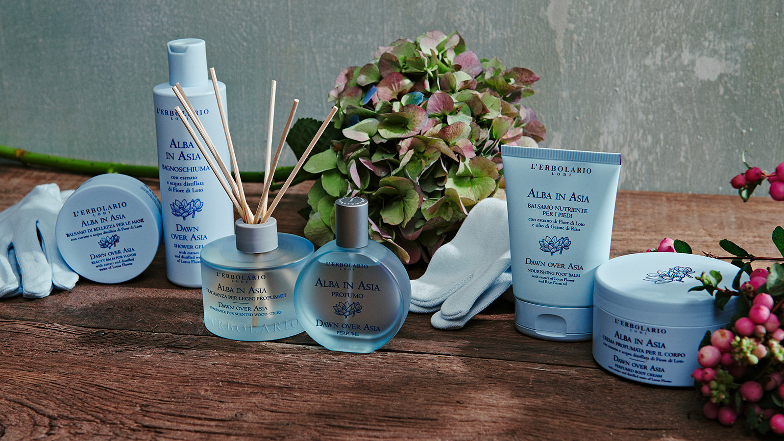 La linea Alba in Asia