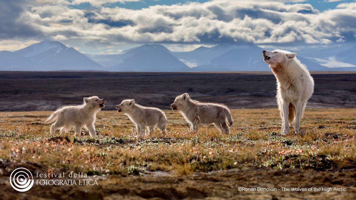 Al via la 16^ edizione del Festival della Fotografia Etica di Lodi