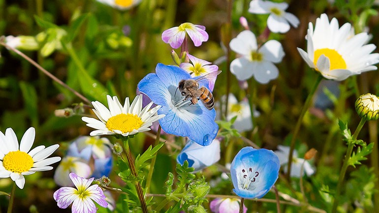news-iniziative-giornata-ambiente-2025