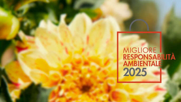 news-iniziative-migliore-insegna-2024