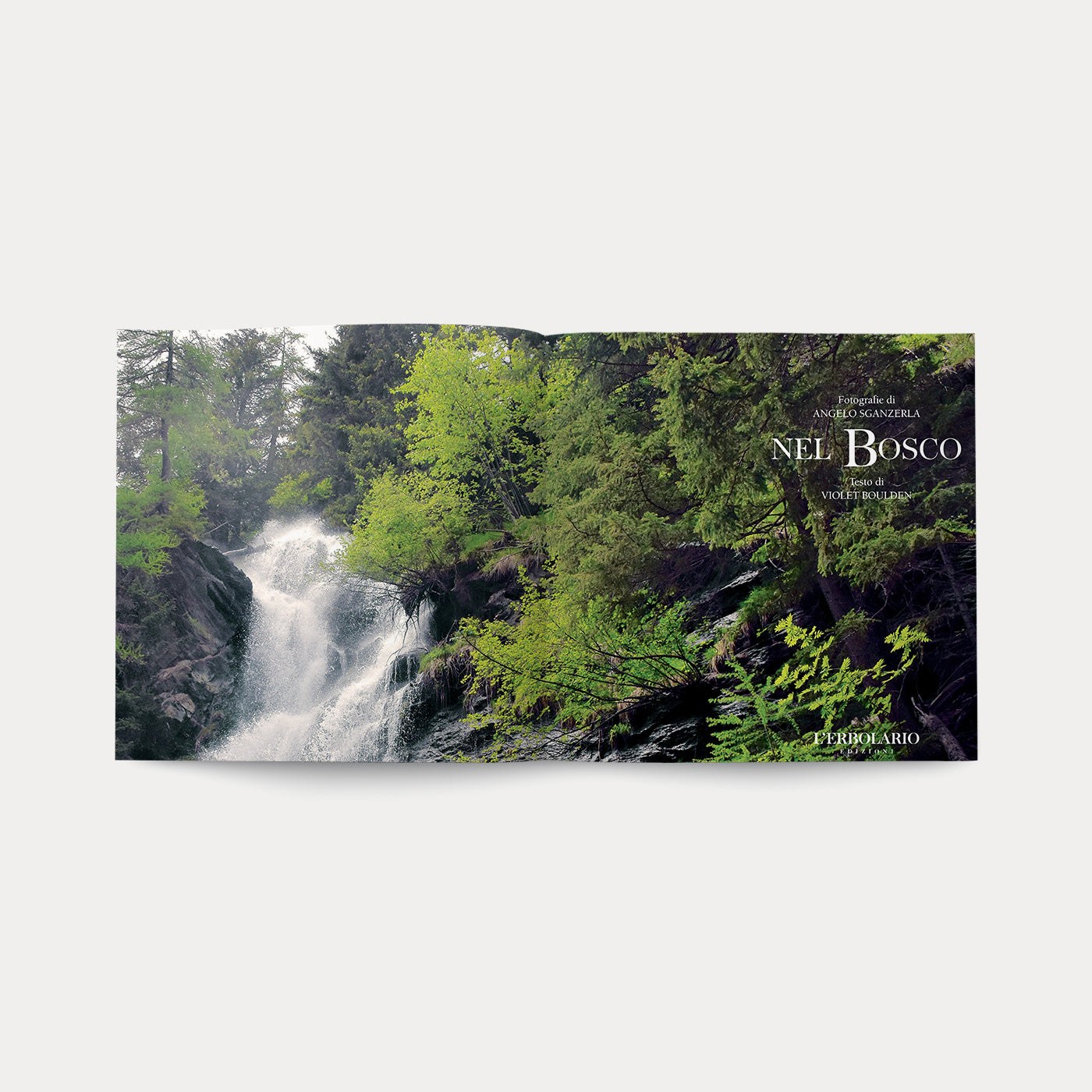 Libro Nel Bosco