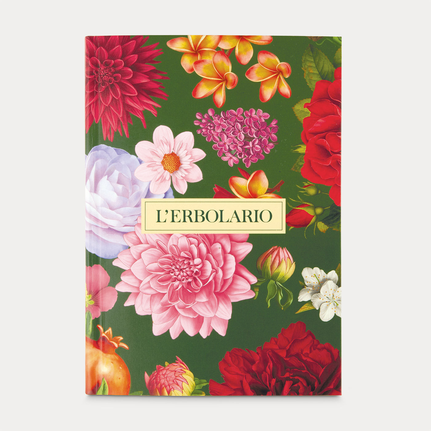 Taccuino - 150 Punti Foglia