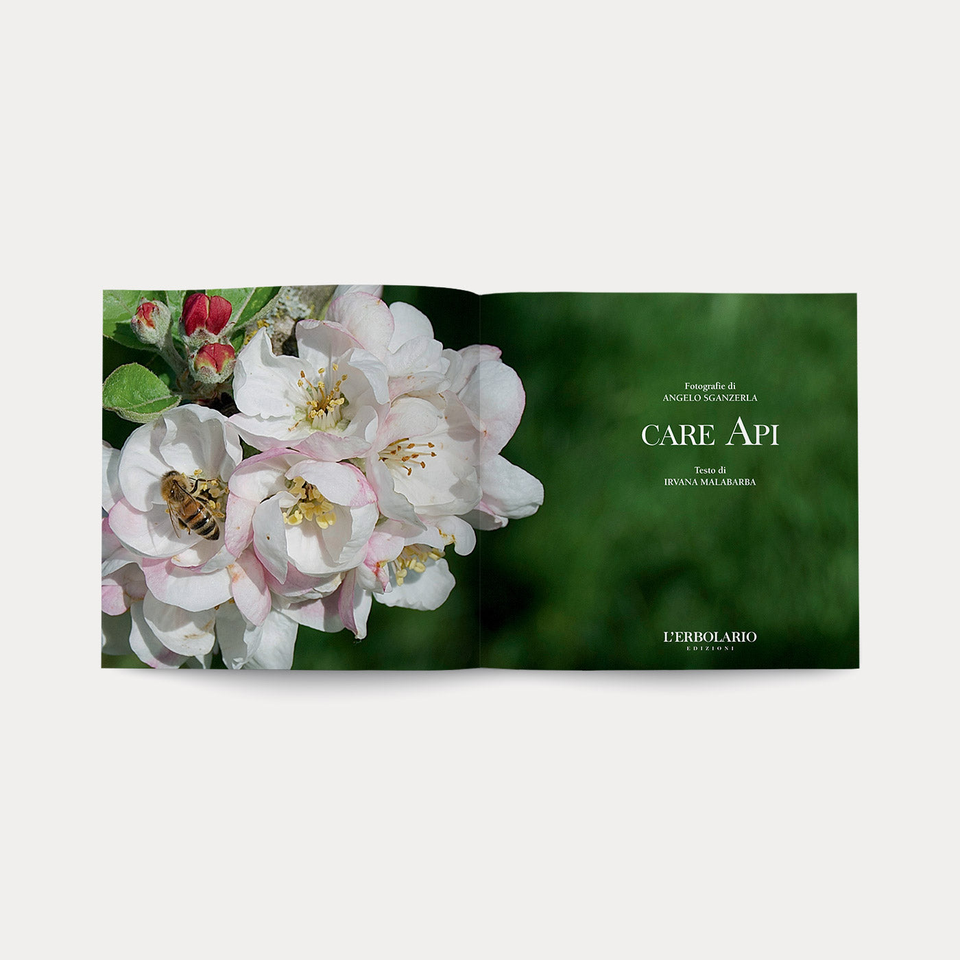 Libro Care Api