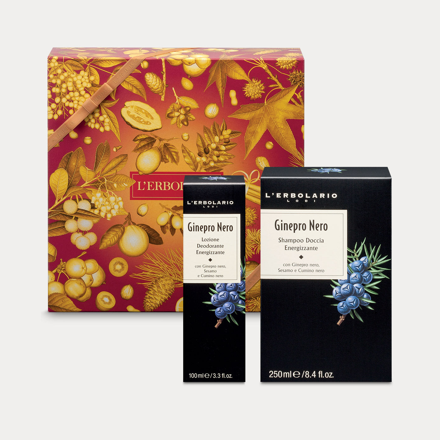 Confezione Ginepro Nero Media