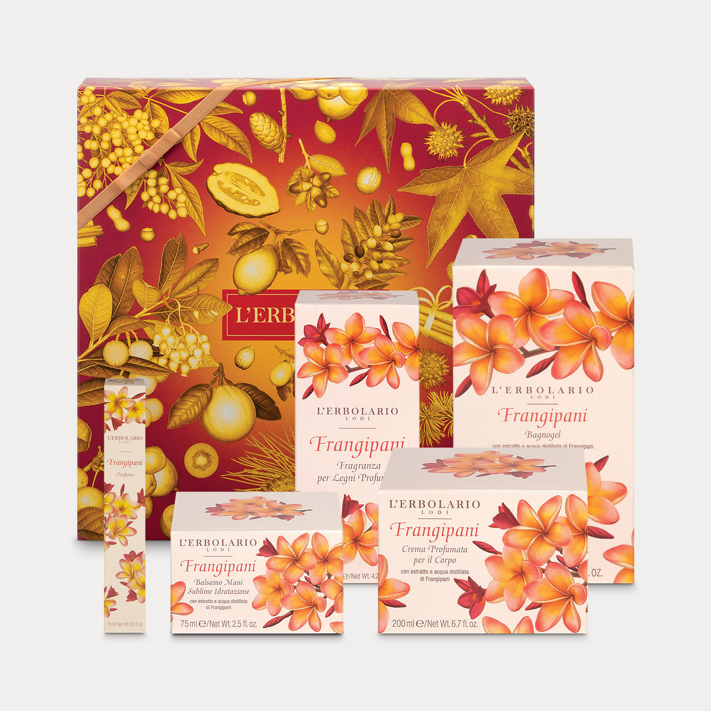 Confezione Frangipani Maxi