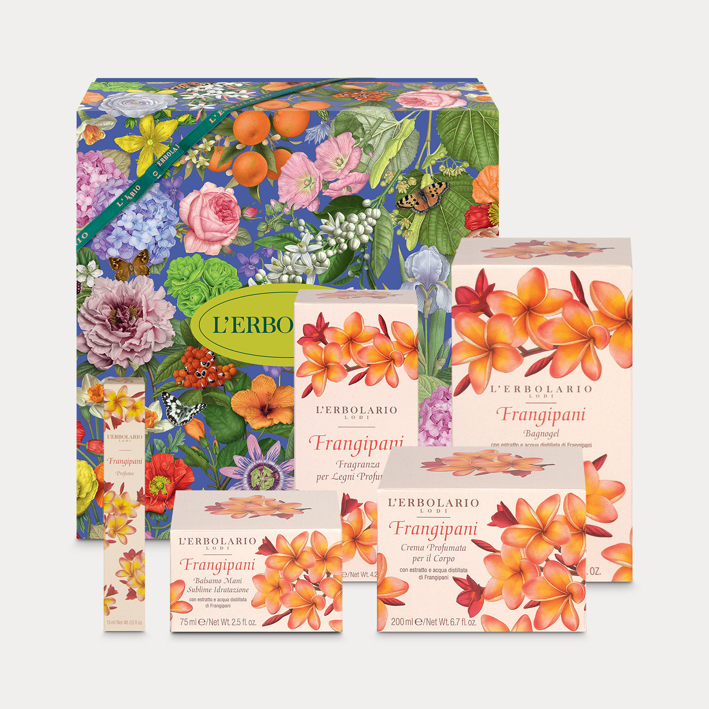 Confezione Frangipani Maxi