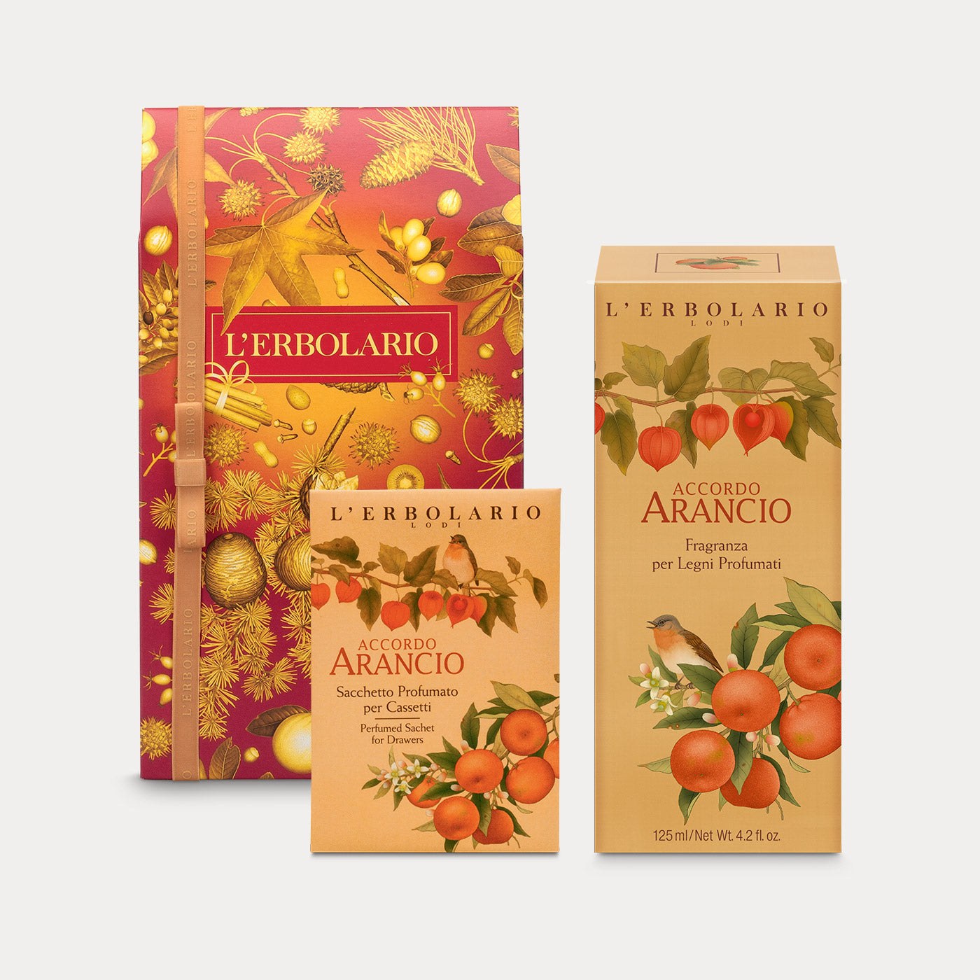 Confezione Accordo Arancio Casa Media