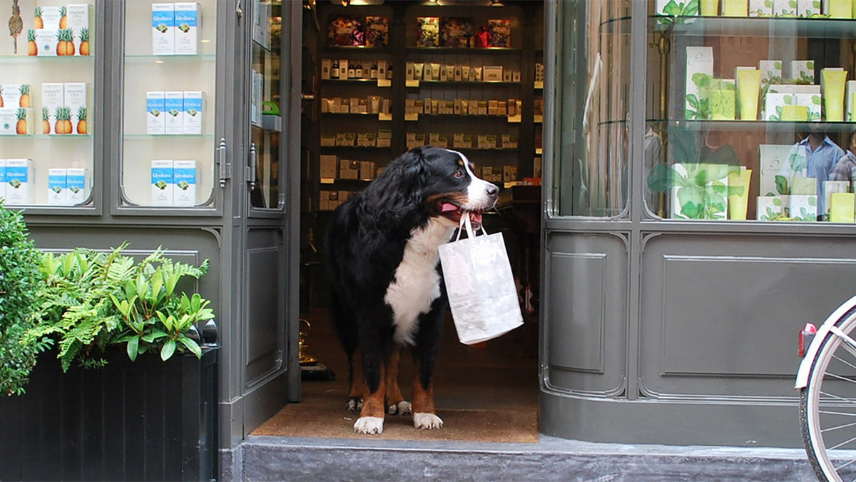 Amici degli animali