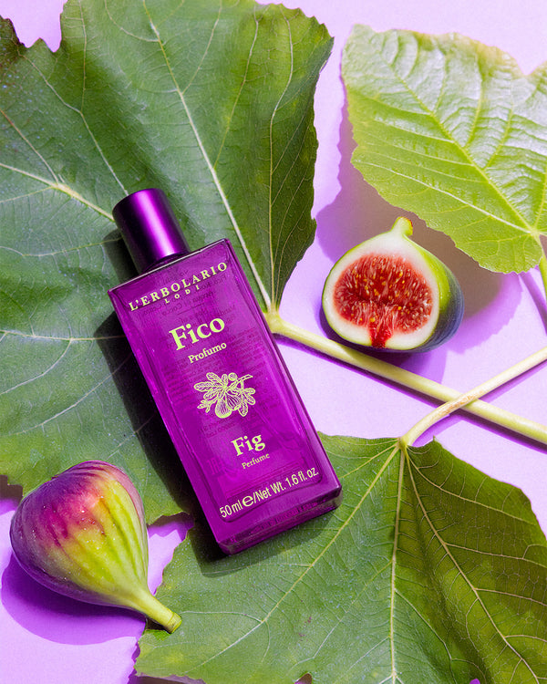 Fico: scopri il frutto della bellezza