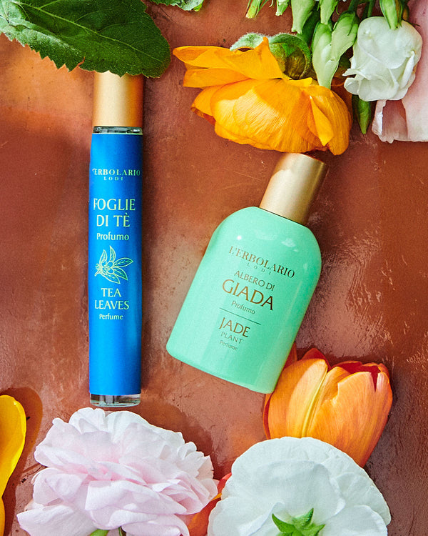 Profumi Fioriti: scopri le migliori fragranze