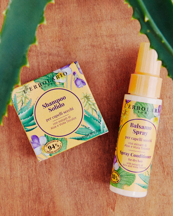 Scopri la routine per capelli secchi