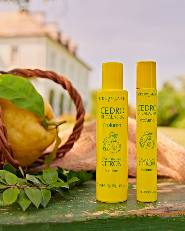 Cedro di Calabria: scopri il profumo dell’estate