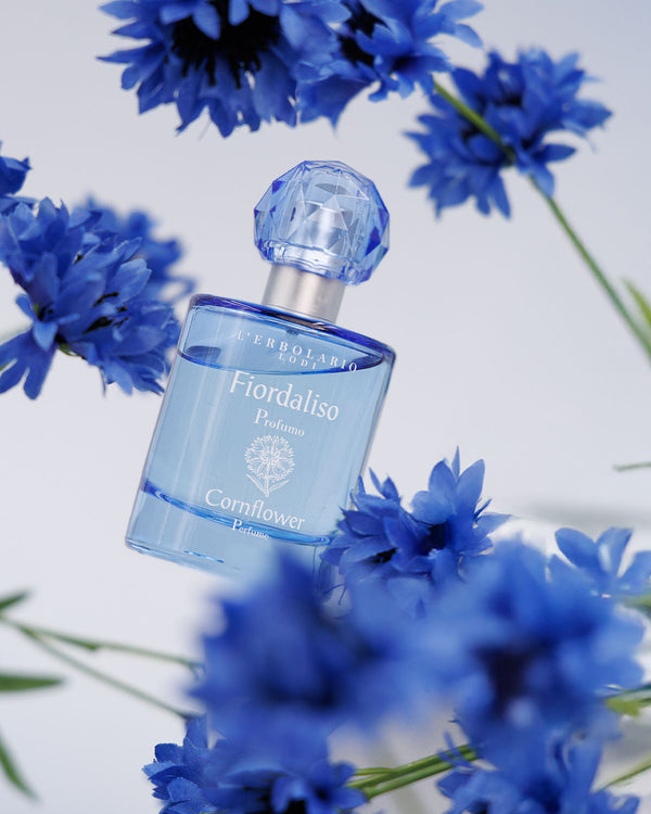 Fiordaliso