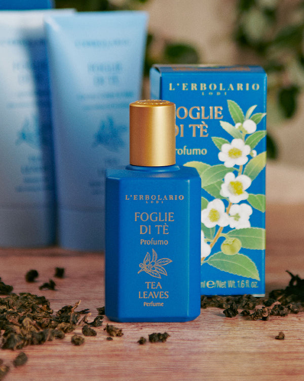 Profumi Agrumati: scopri le migliori fragranze