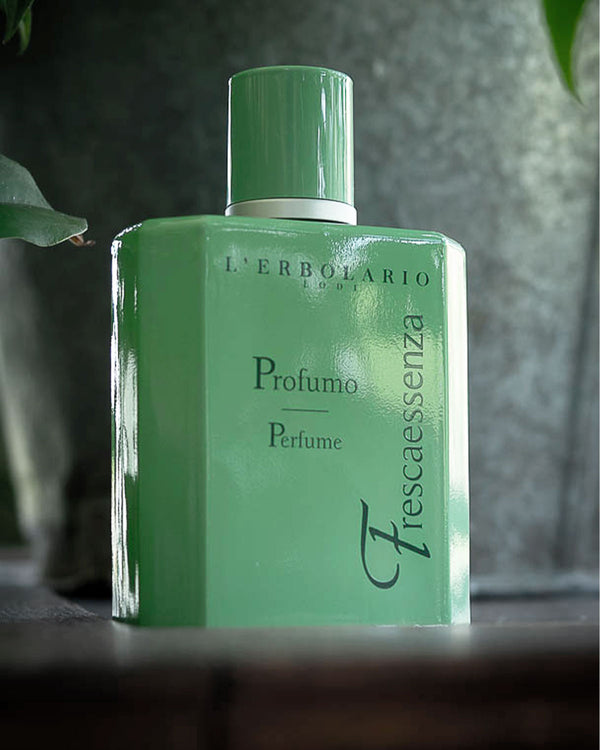Profumi Legnosi: scopri le migliori fragranze
