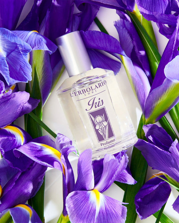 Iris: la regina delle nostre fragranze
