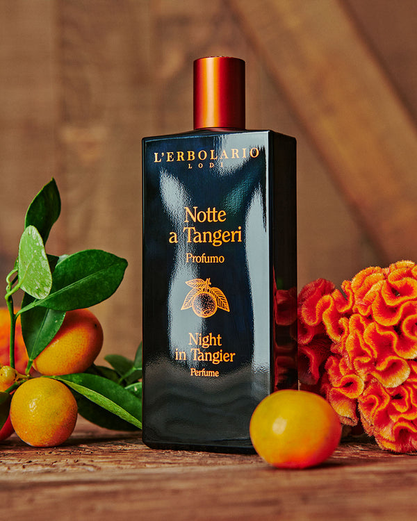 Notte a Tangeri: una fragranza irresistibile ed esotica