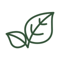 Certificato Biologico